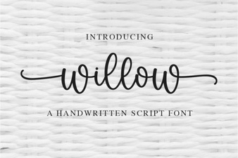 Craft Beautiful Projects with Willow Font